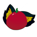 custom_website